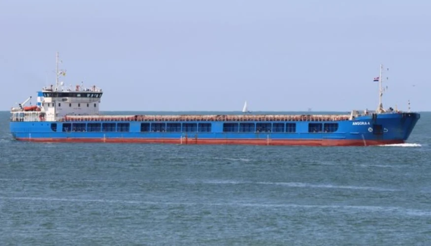 У Чорному морі біля Румунії внаслідок удару безпілотника затонув зерновоз Royad Mammadov